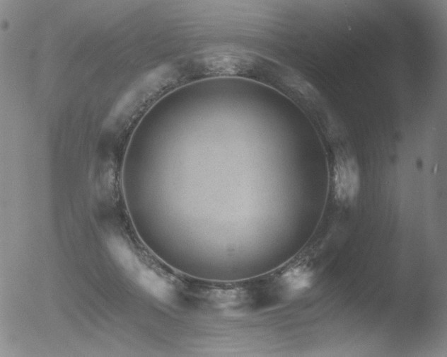 X0000052940314200507081151