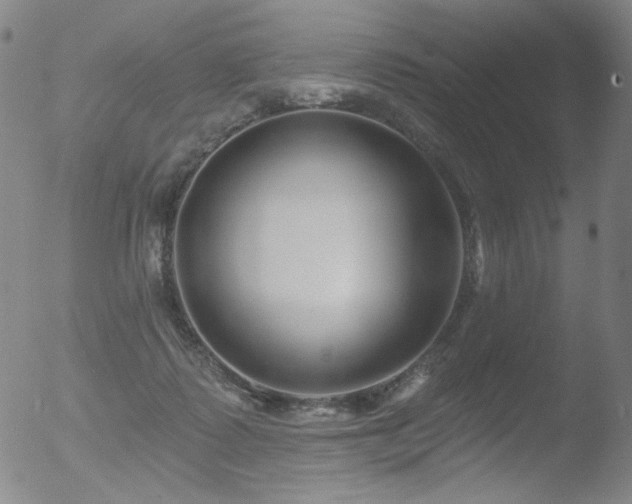 X0000052940315200507081151