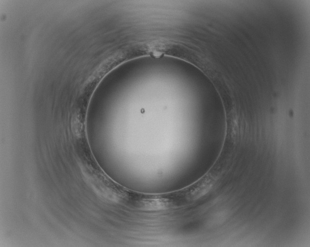 X0000052940316200507081151