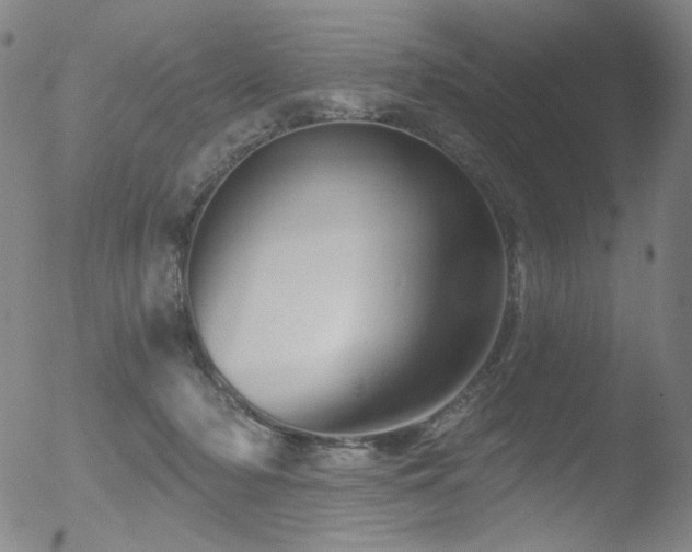 X0000052940318200507081151