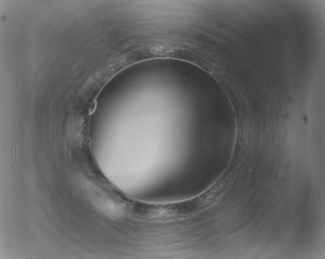 X0000052940319200507081151