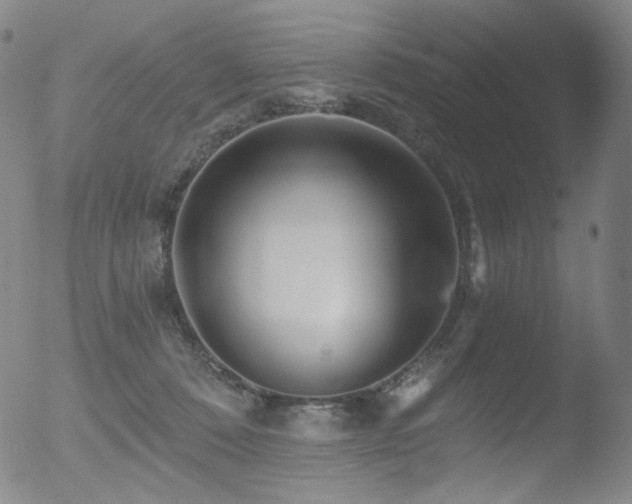 X0000052940320200507081151