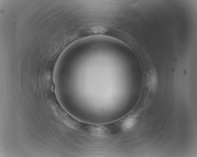 X0000052940321200507081151