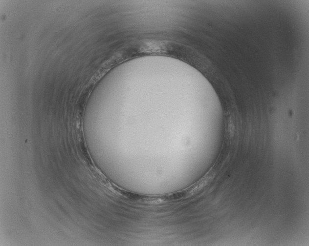 X0000052940322200507081151