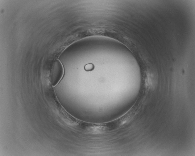 X0000052940323200507081150