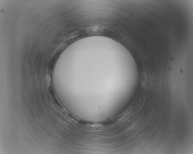 X0000052940324200507081150