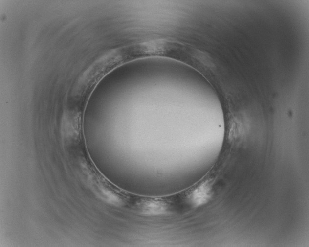 X0000052940325200507081150