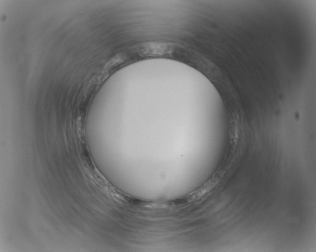 X0000052940326200507081150