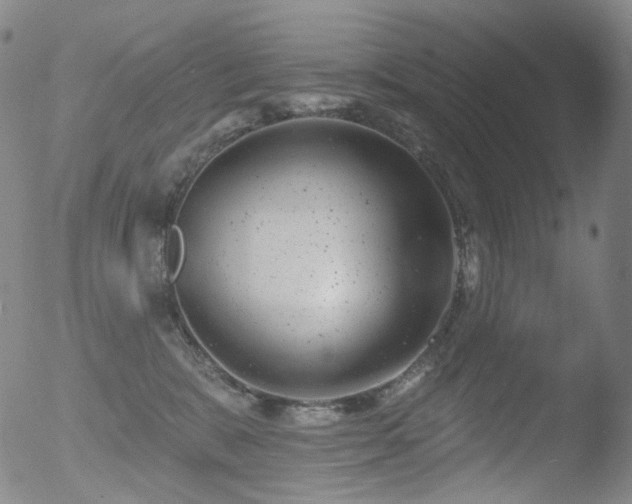 X0000052940327200507081150