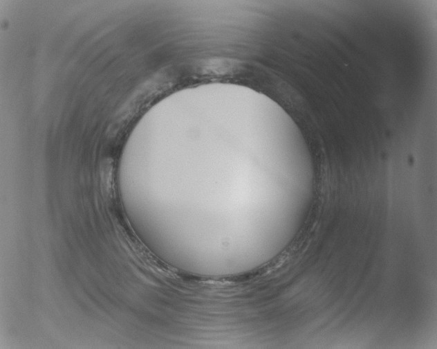 X0000052940328200507081150