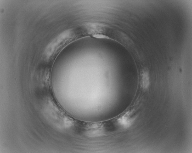 X0000052940329200507081150