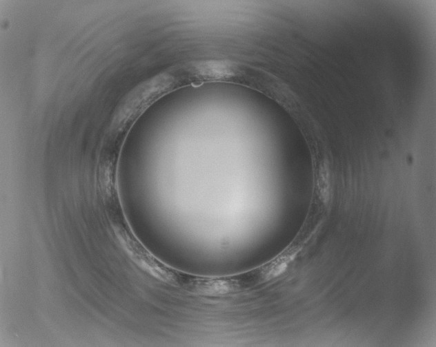 X0000052940330200507081150