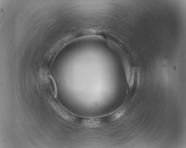 X0000052940331200507081150