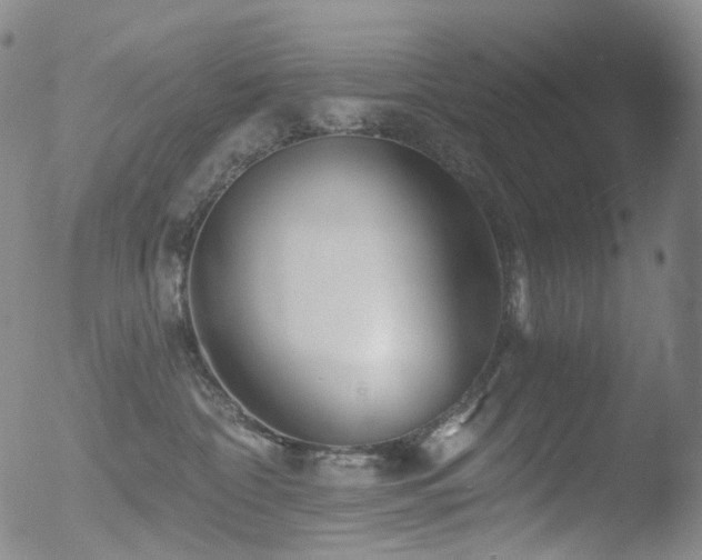 X0000052940332200507081150