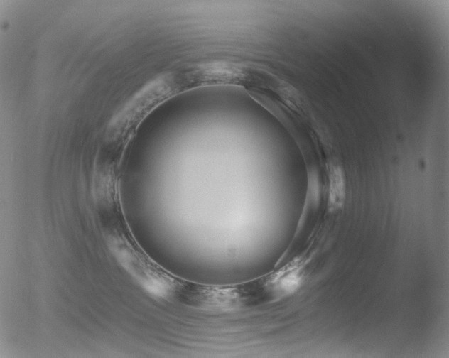 X0000052940333200507081150