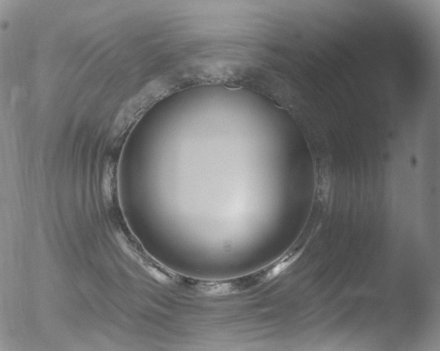 X0000052940334200507081150