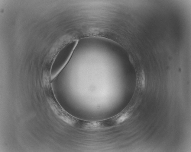 X0000052940335200507081150