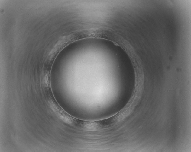 X0000052940336200507081150