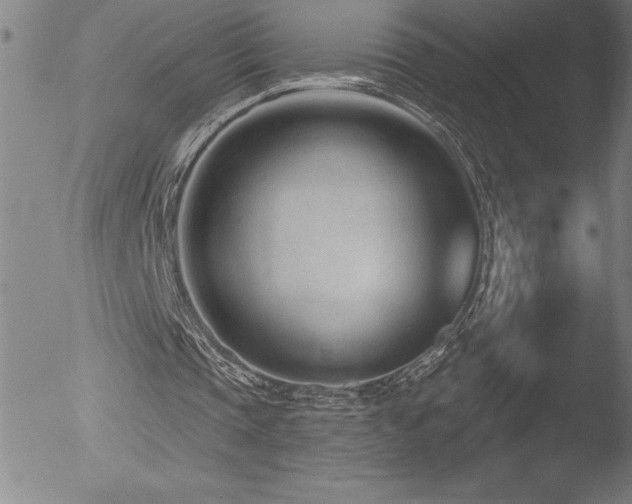 X0000052940337200507081149