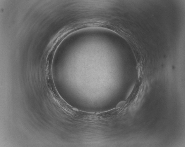 X0000052940339200507081150