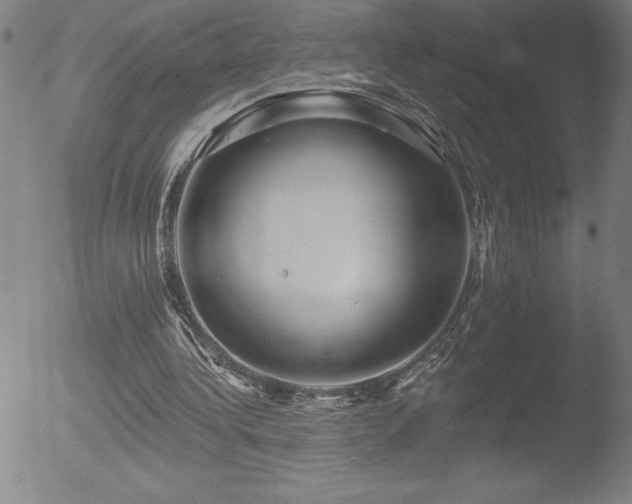 X0000052940340200507081150