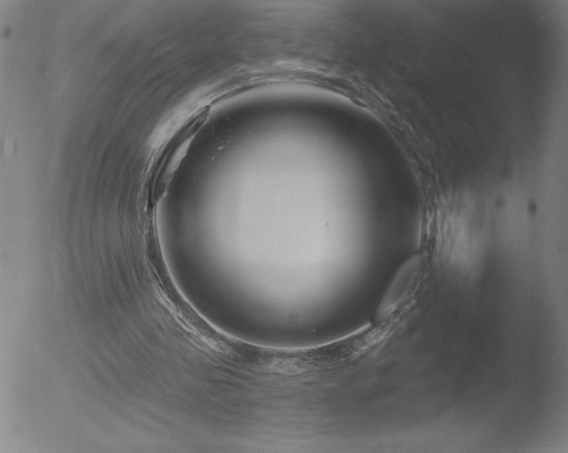 X0000052940341200507081150