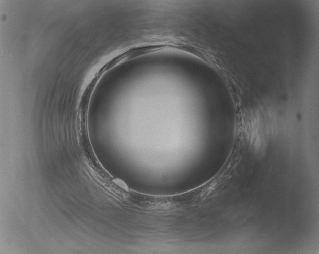 X0000052940342200507081150