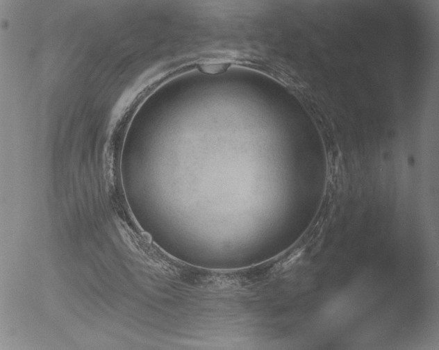 X0000052940343200507081150