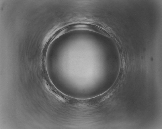 X0000052940344200507081150