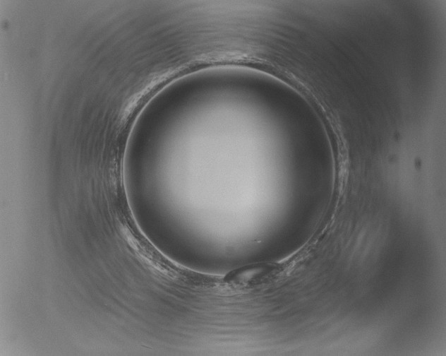 X0000052940345200507081150