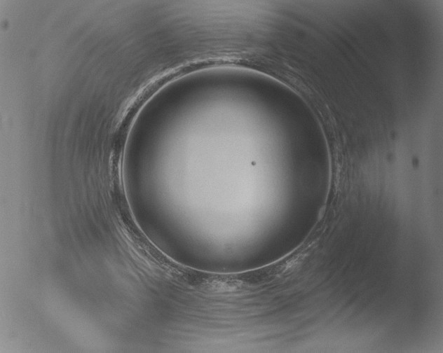 X0000052940346200507081150