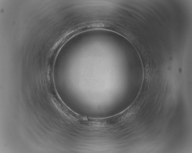 X0000052940347200507081150