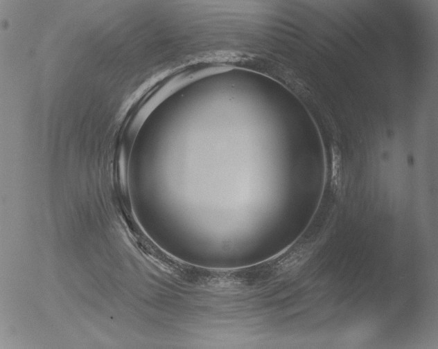 X0000052940348200507081150