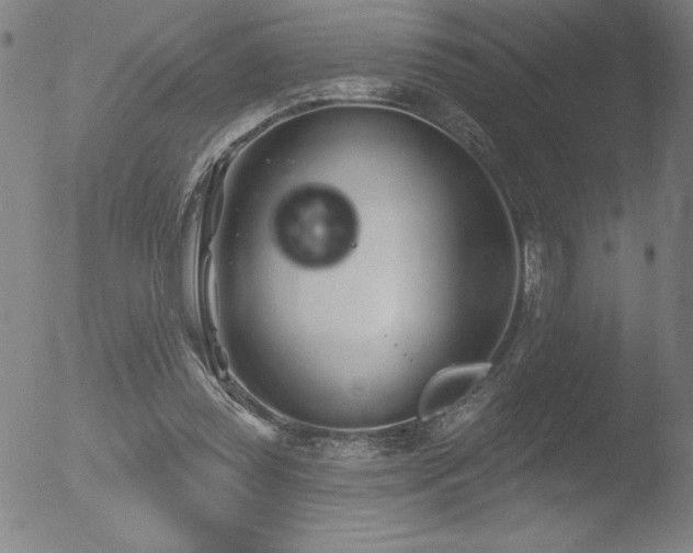 X0000052940349200507081150