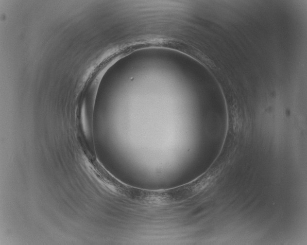 X0000052940350200507081150