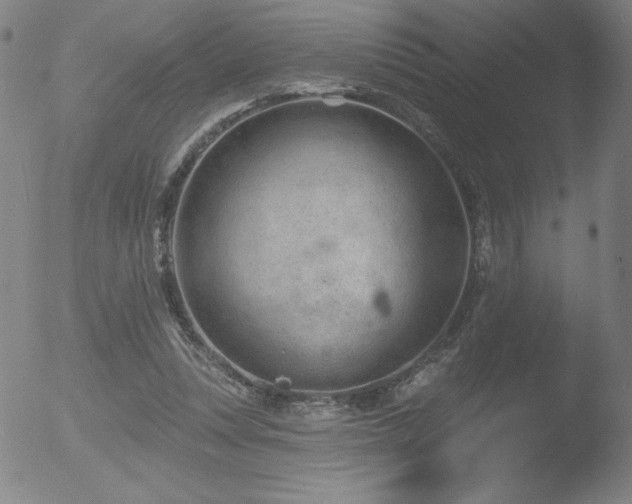 X0000052940351200507081150