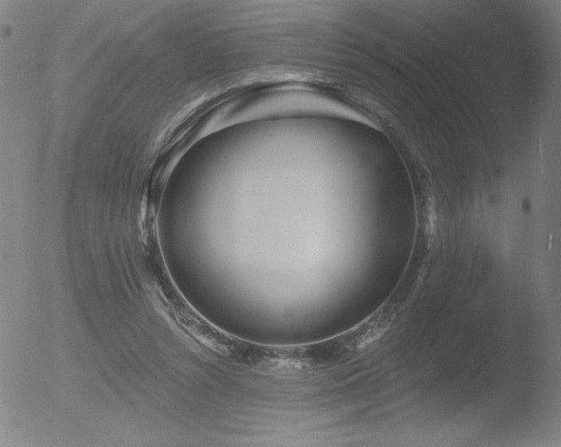 X0000052940352200507081150