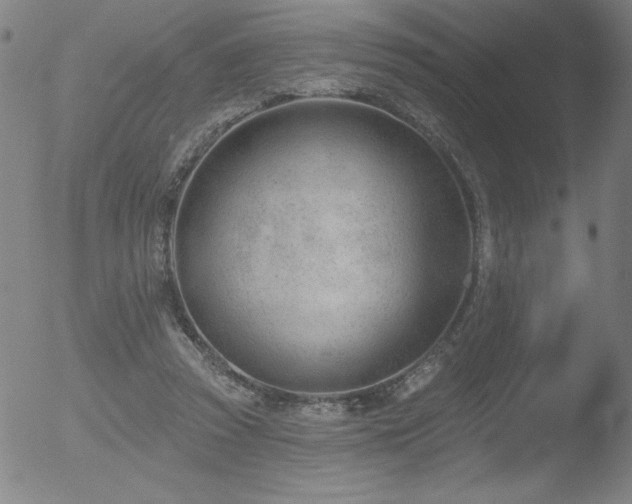 X0000052940353200507081150