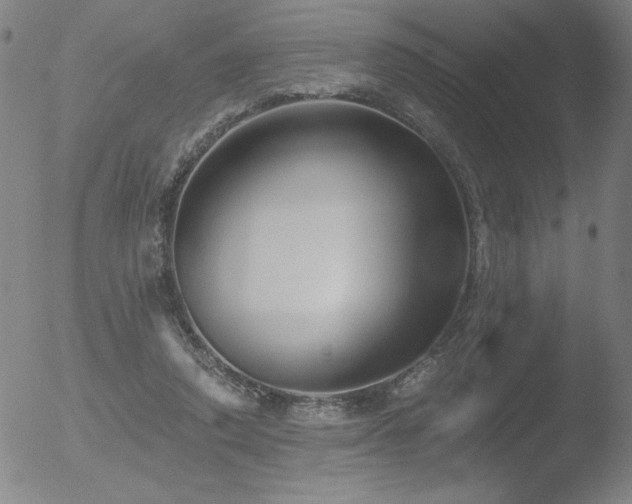 X0000052940354200507081150