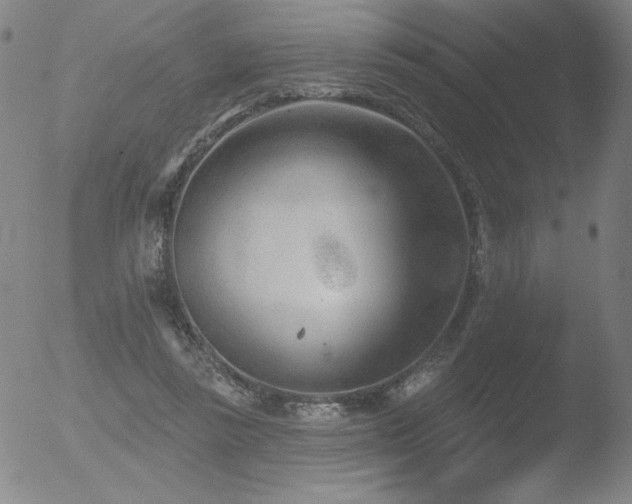 X0000052940355200507081150