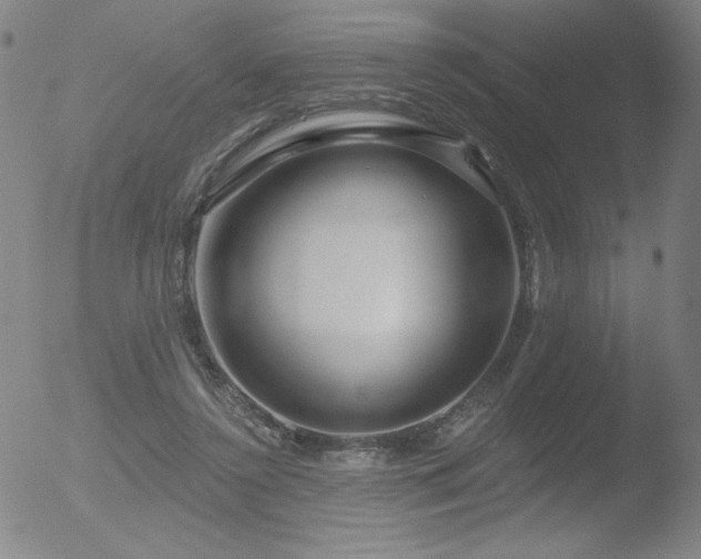 X0000052940356200507081150