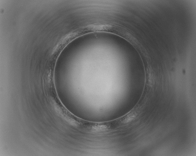 X0000052940357200507081150