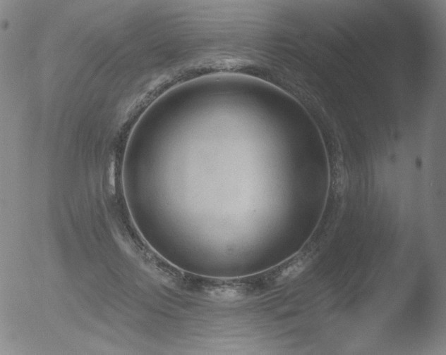 X0000052940358200507081150