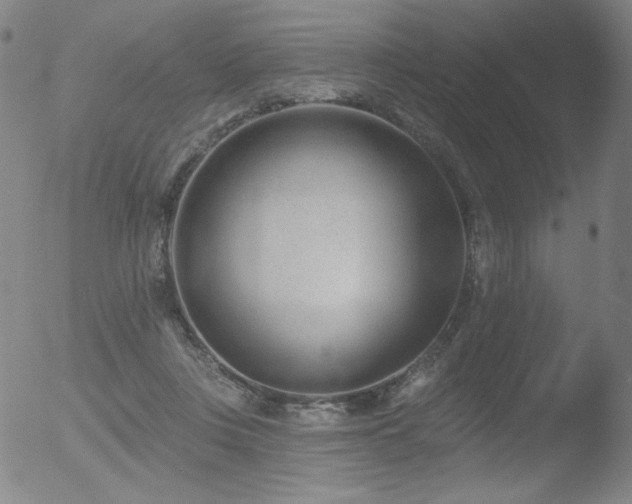 X0000052940359200507081150