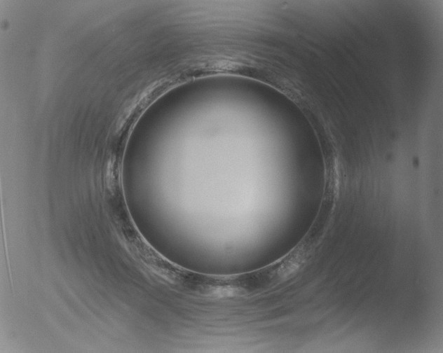 X0000052940360200507081150