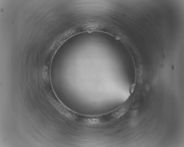 X0000052940361200507081150