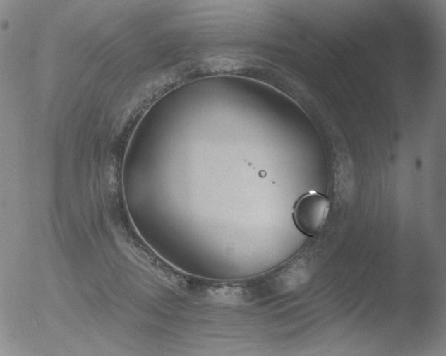 X0000052940362200507081150