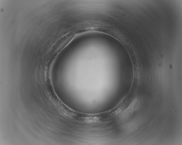 X0000052940363200507081150