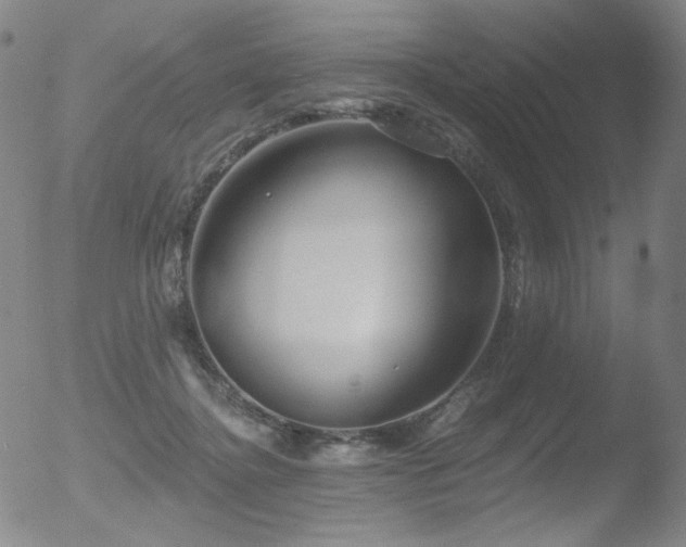 X0000052940364200507081150