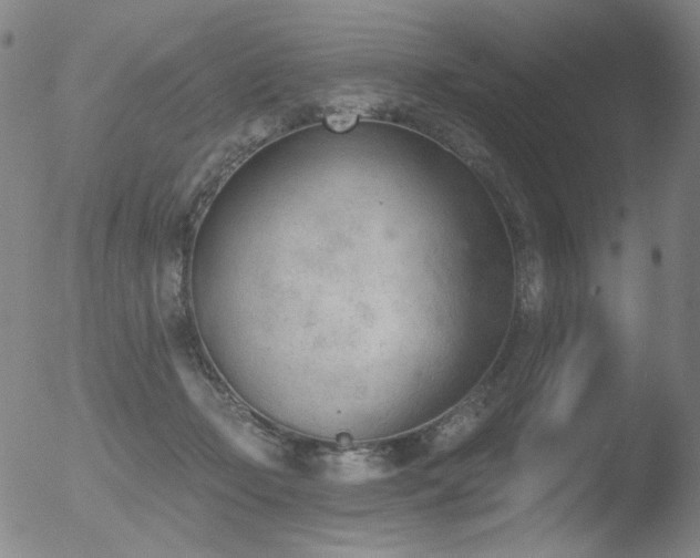 X0000052940365200507081150